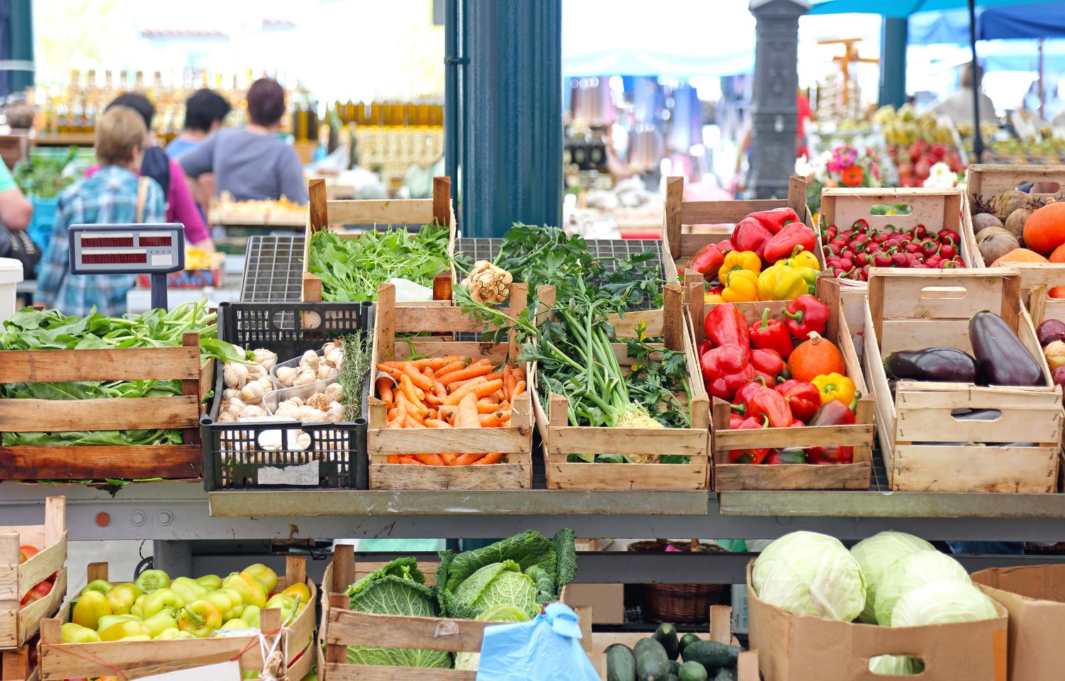 Farmers Market Stall